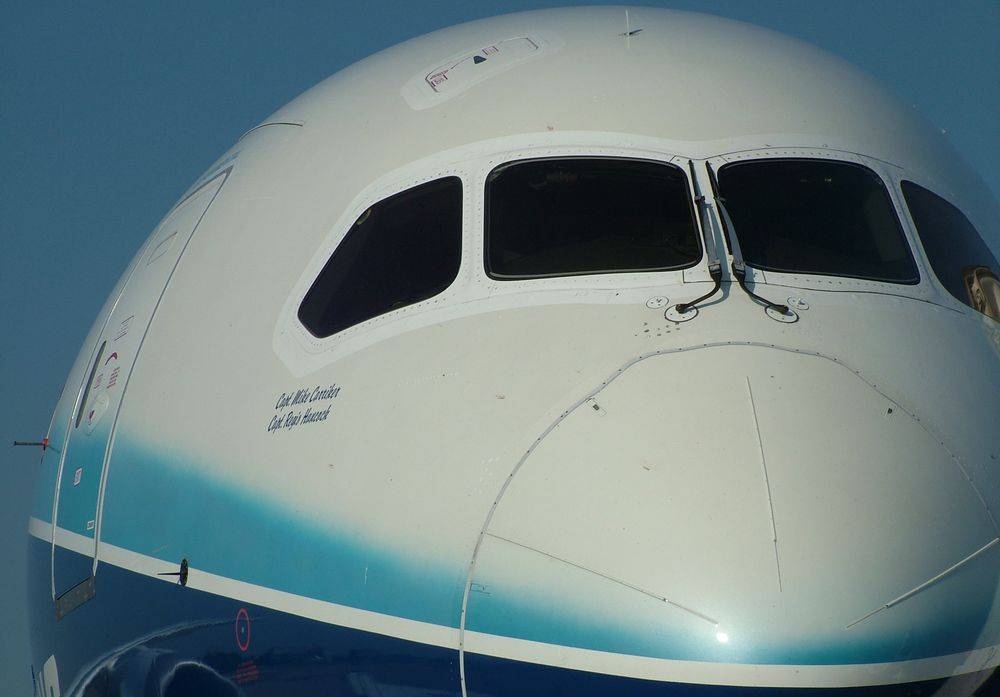 Инженер: сотни людей могут погибнуть в авиакатастрофах самолетов Boeing